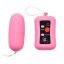 Remote Control Powerfull Vibrating Egg - adultsextoy.in